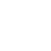 Owl Owls Bird