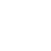 Owl Owls Bird