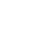Owl Owls Bird