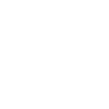 Owl Owls Bird