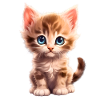 Cute kitten