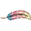 writing feather rainbow