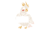 World's greatest Cockatiel dad