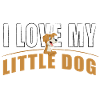 I love my little dog