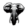 Majestueux éléphant d’Afrique