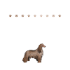 Cadeaux pour les chiens afghans