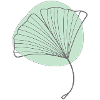 Ginkgo