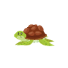 Turtle Sea Turtle Gift