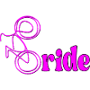BIKE CYCLING BRIDE