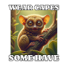 Dicton Tarsier