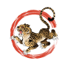 Tigre couleur