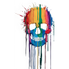 Rainbow Skull