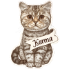 Katzenliebe