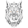 Black and white dog