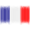 Fransk flag - nyt design