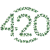 420 in Bloom