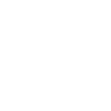 Eagle Eagle Head