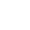 Eagle Eagle Head