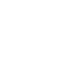 Eagle Eagle Head