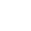 Eagle Eagle Head