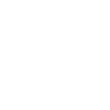 Eagle Eagle Head