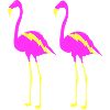Flamingos 2