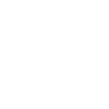 Eagle Eagle Head