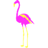 Flamingo 2