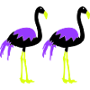 flamingos