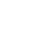 Architect