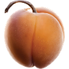 Aprikose Frucht Geschenk