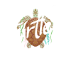 Turtle Sea Turtle Gift