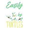 Turtle Sea Turtle Gift