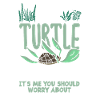 Turtle Sea Turtle Gift