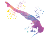 Synchronisierter Wassertaucher High Diver