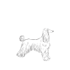 Afghan Hound Gifts