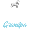 Cadeaux pour les chiens afghans