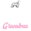 Cadeaux pour les chiens afghans