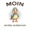 Moin you birds beautiful tach