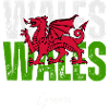 Flag of Wales, Welsh pride