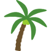 Coconut Tree