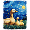 Ducks Birds Starry Night Painting