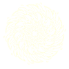 A sun flower