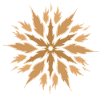 Middle Eastern Sun
