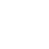 Eagle Eagle Head