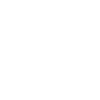 Eagle Eagle Head