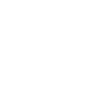 Eagle Eagle Head