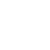 Eagle Eagle Head
