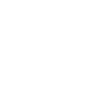 Eagle Eagle Head