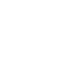 Eagle Eagle Head